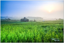 베스트갤러리 - 안성목장