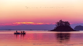 베스트갤러리 - 여 명