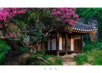 베스트갤러리 - 병암정의 소나무.