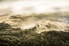 베스트갤러리 - 빛내림~2