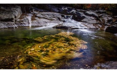 베스트갤러리 - 뱀사골