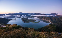 베스트갤러리 - 붕어섬