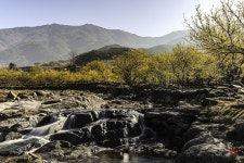 베스트갤러리 - 산수유꽃 피는마을