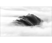 베스트갤러리 - 수묵화