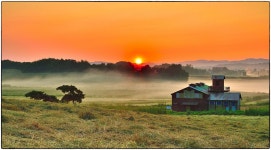 베스트갤러리 - 안성목장