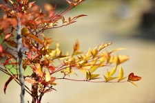 베스트갤러리 - 봄 마중 가는 길