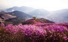 영취산슈퍼 식당 | 베스트갤러리 - 영취산