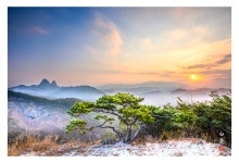 베스트갤러리 - 소나무가 있는 풍경..