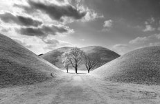 베스트갤러리 - 대릉원