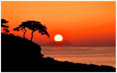 베스트갤러리 - 솔섬