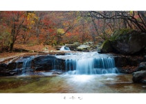 베스트갤러리 - 가는 길에..