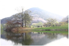 베스트갤러리 - 용비지