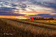 베스트갤러리 - 평원의 일출