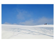 베스트갤러리 - 양떼목장 설경