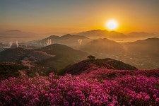 영취산슈퍼 식당 | 베스트갤러리 - 영취산