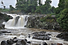 베스트갤러리 - 제주 풍경.