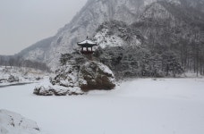 베스트갤러리 - 월류정