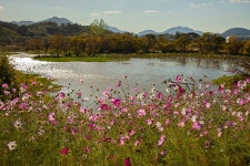 베스트갤러리 - 가을의 길목에..