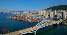 베스트갤러리 - 부산대교