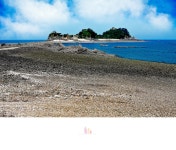 베스트갤러리 - 국 화 도
