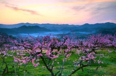 베스트갤러리 - 무릉도원