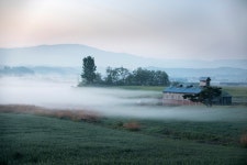 베스트갤러리 - 목장의 새벽