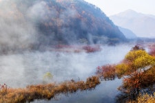 베스트갤러리 - 용담댐의滿秋