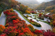 베스트갤러리 - 말티제