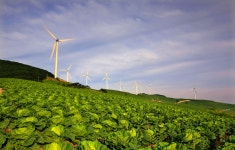 베스트갤러리 - 매봉산