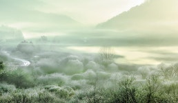 베스트갤러리 - 꿈속의 비밀정원