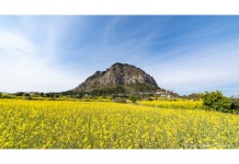 베스트갤러리 - 산방산과 유채꽃
