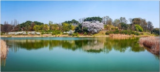 베스트갤러리 - 올림픽 공원