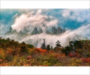 베스트갤러리 - 설악의 추억