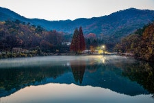 베스트갤러리 - 불당골