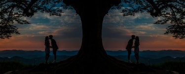 베스트갤러리 - Love Tree