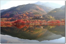 베스트갤러리 - 용담댐의 가을