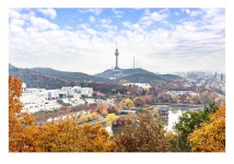 베스트갤러리 - 성당못 가을