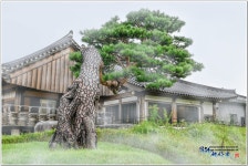 베스트갤러리 - 한국의 美