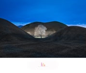 베스트갤러리 - 삼릉