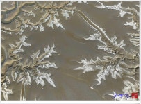 베스트갤러리 - 황산도 갯골