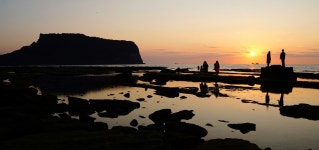 베스트갤러리 - 성산포