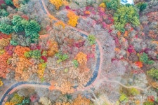 베스트갤러리 - 대전 보문산