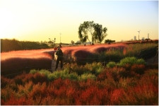 베스트갤러리 - 하늘공원 멋진 아침