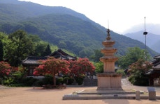 베스트갤러리 - 삼층석탑 (표충사)