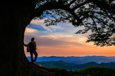 베스트갤러리 - Love Tree