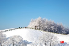 베스트갤러리 - 대관령