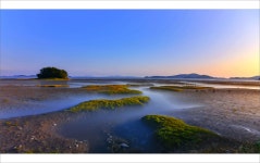 베스트갤러리 - 황산도