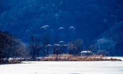 베스트갤러리 - 봄날같던 경안천