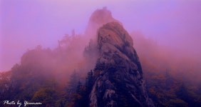 베스트갤러리 - 秋山