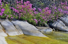 베스트갤러리 - 월성계곡